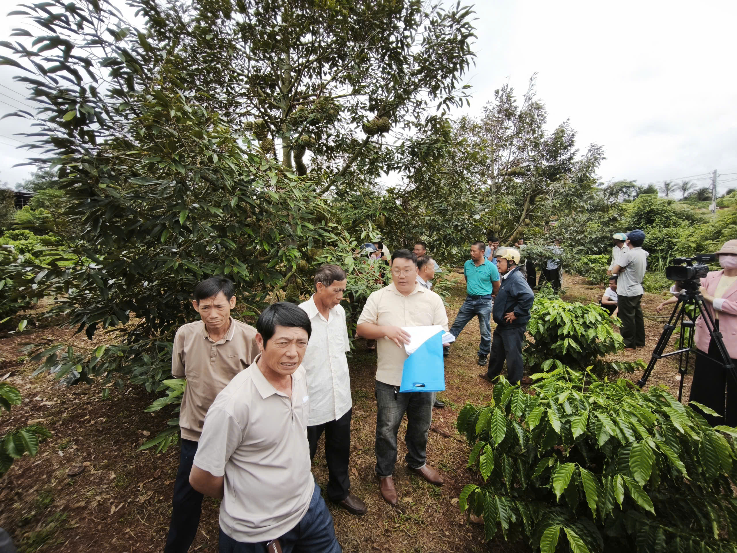 Tập Huấn Xây Dựng Mã Số Vùng Trồng Và Sản Xuất Sầu Riêng Ứng Dụng Công Nghệ Tại Xã Ea Drăng