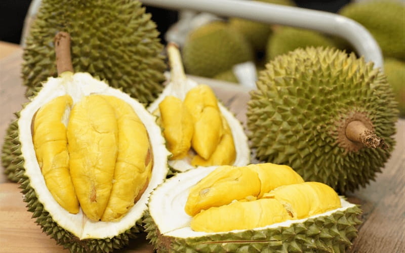 Sầu Riêng Đắk Lắk: Người Trồng Cần Thay Đổi Gì?